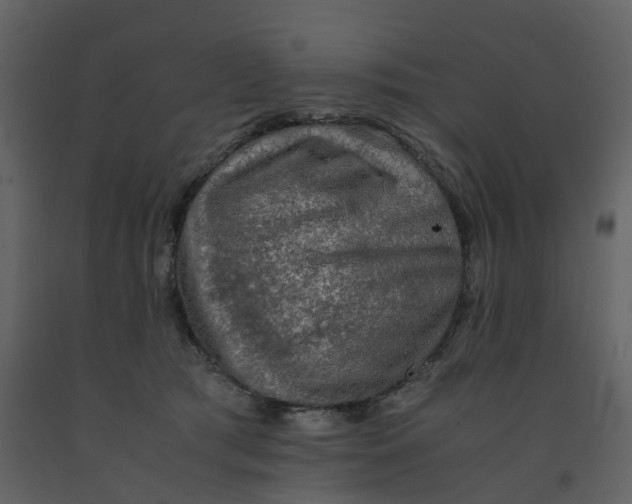 X0000092250417200710051303
