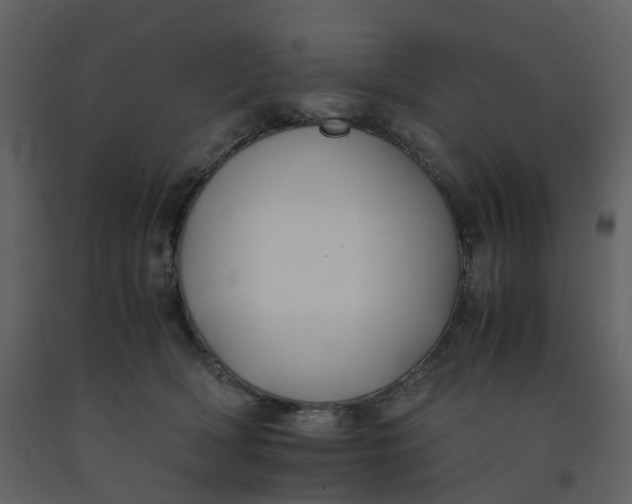 X0000092250418200710051303