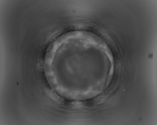 X0000092250419200710051303