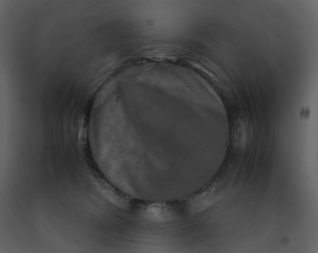 X0000092250420200710051303