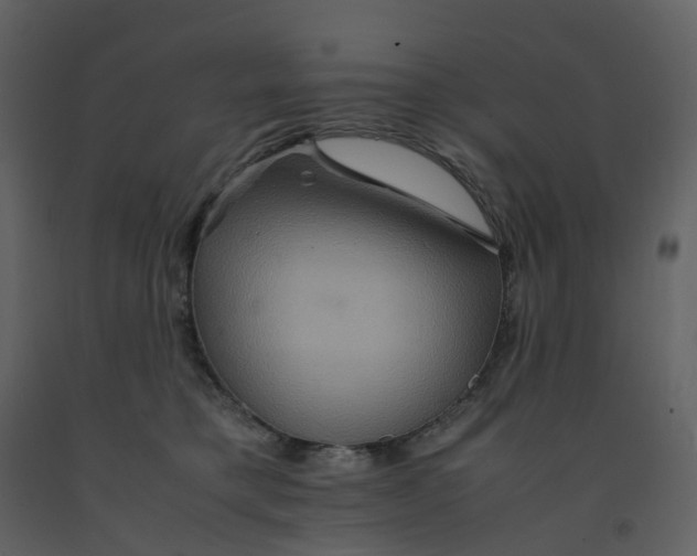 X0000092250421200710051303