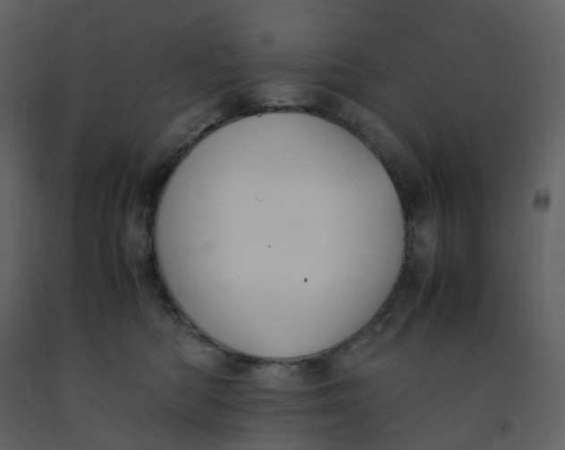 X0000092250422200710051303