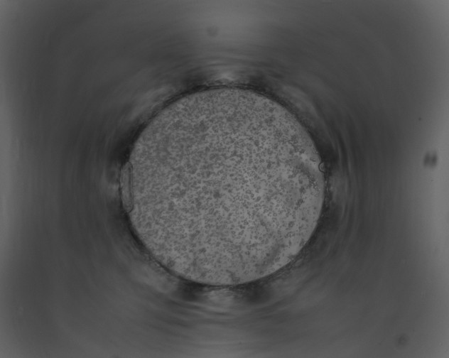 X0000092250423200710051303