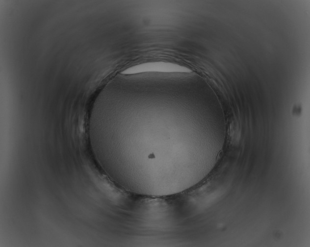 X0000092250424200710051303