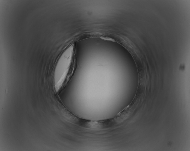 X0000092250425200710051303