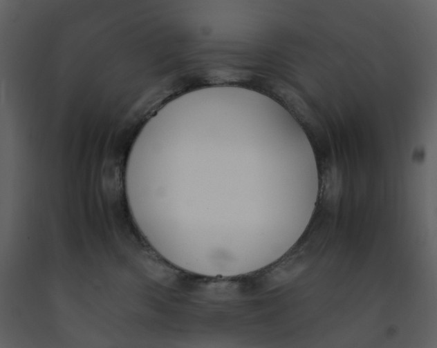 X0000092250426200710051303