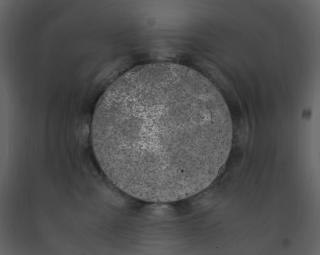 X0000092250427200710051303
