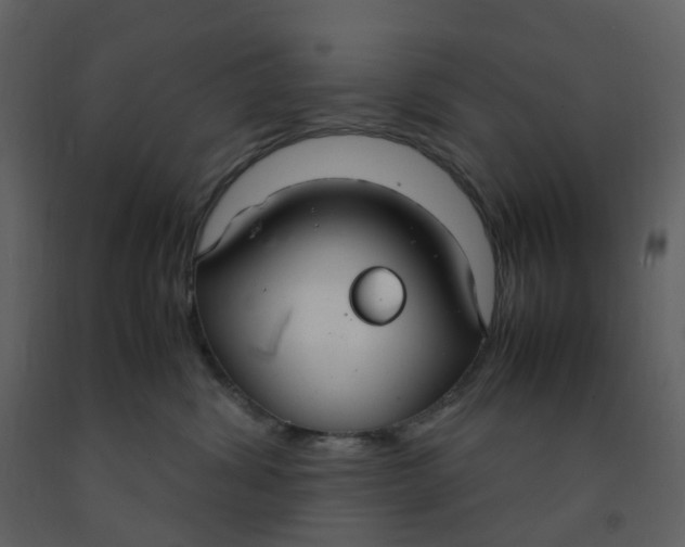 X0000092250428200710051303