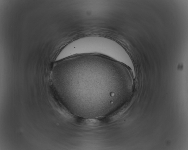 X0000092250429200710051303