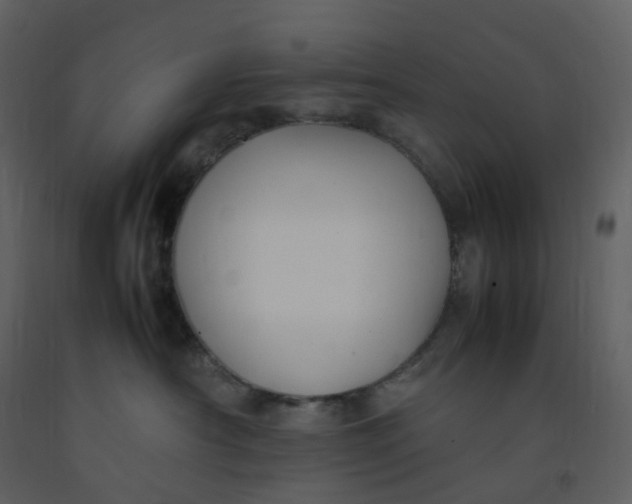 X0000092250430200710051303