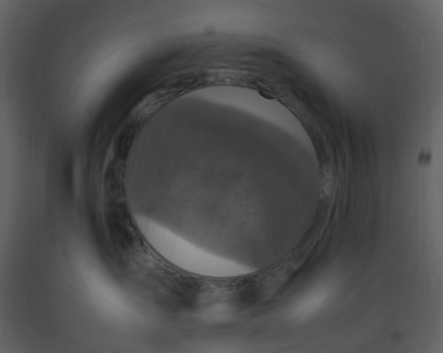 X0000092250431200710051303