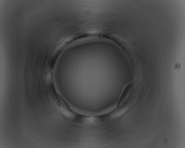 X0000092250432200710051303