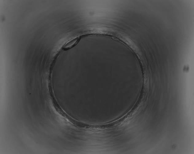 X0000092250434200710051302