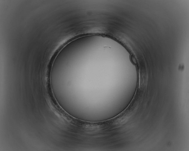 X0000092250435200710051302