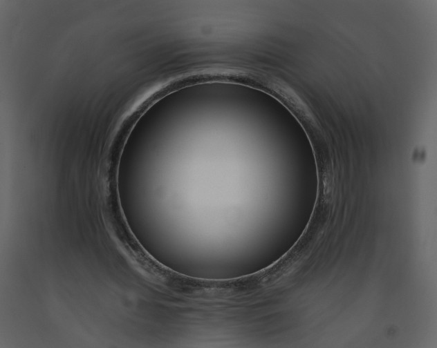 X0000092250436200710051302