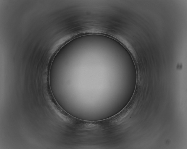 X0000092250437200710051302