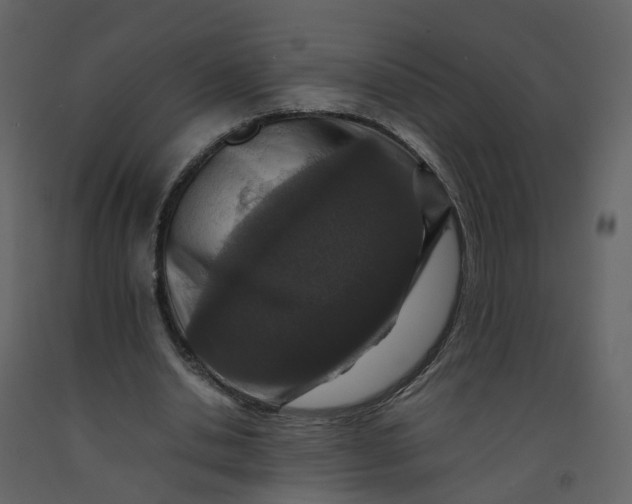 X0000092250438200710051302