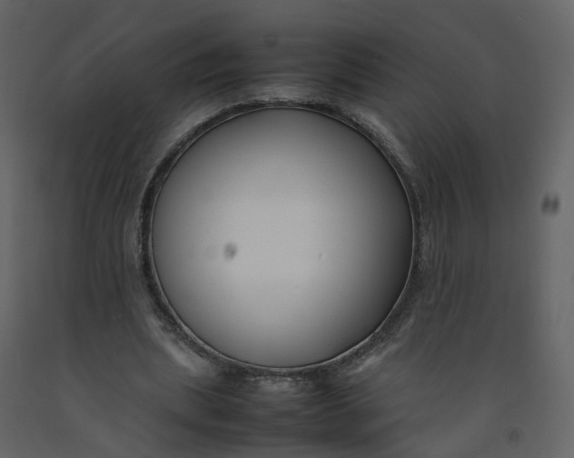 X0000092250439200710051302