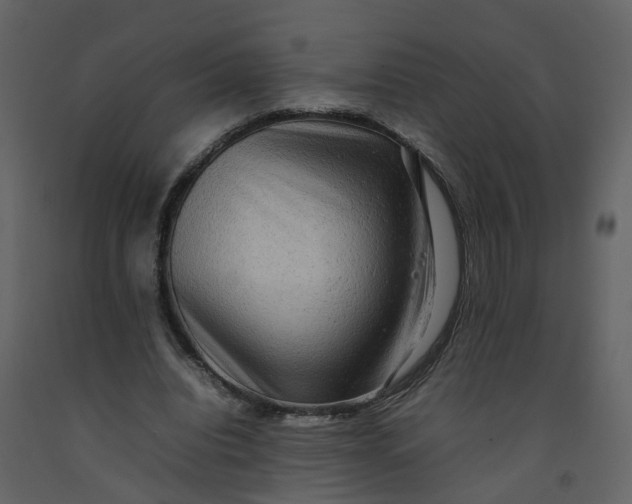 X0000092250440200710051302
