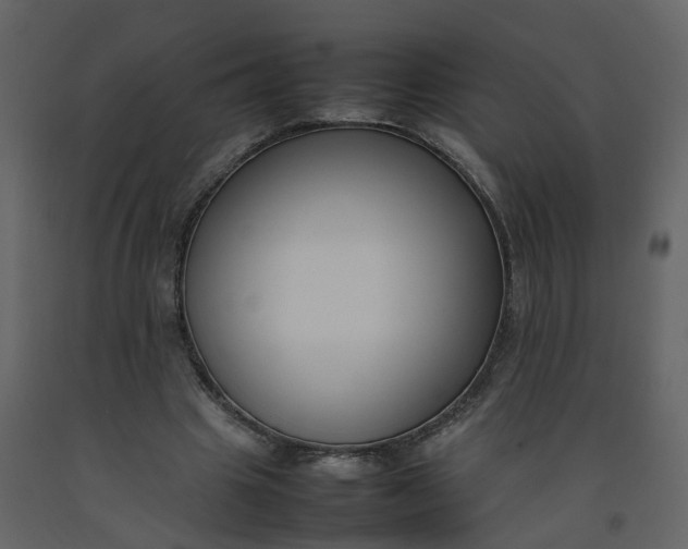 X0000092250441200710051302
