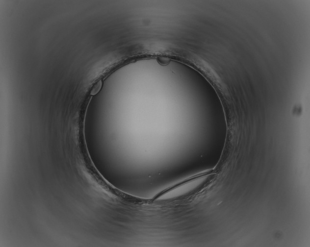 X0000092250442200710051302