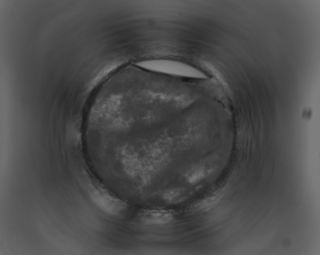 X0000092250443200710051302