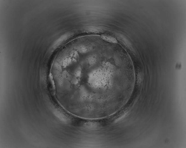 X0000092250444200710051302