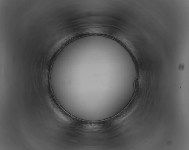 X0000092250445200710051302