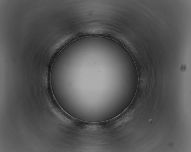 X0000092250446200710051302