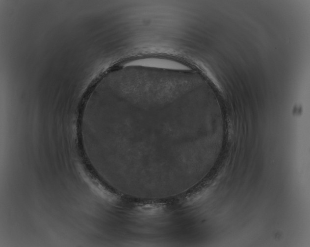 X0000092250447200710051302