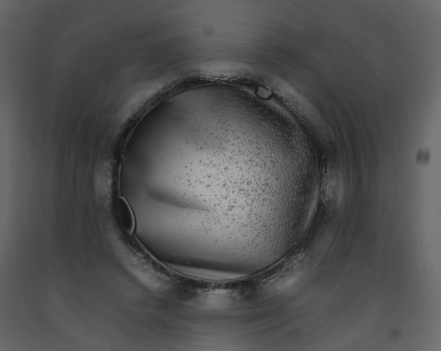 X0000092250448200710051302