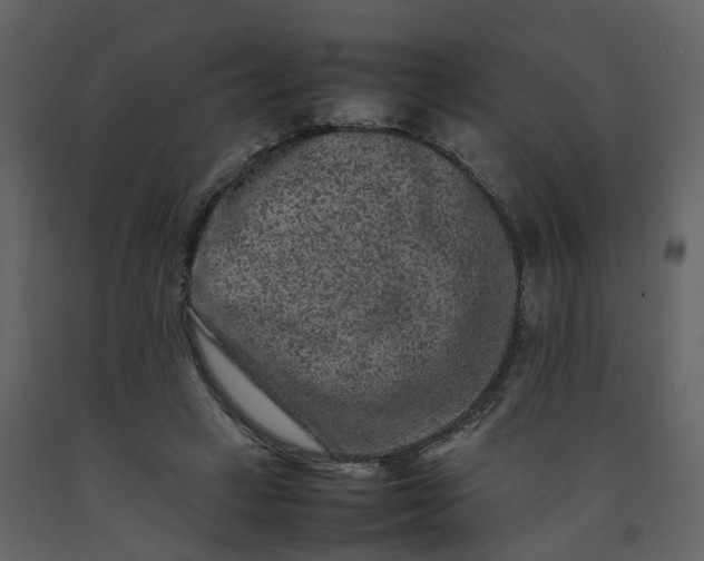 X0000092250449200710051302