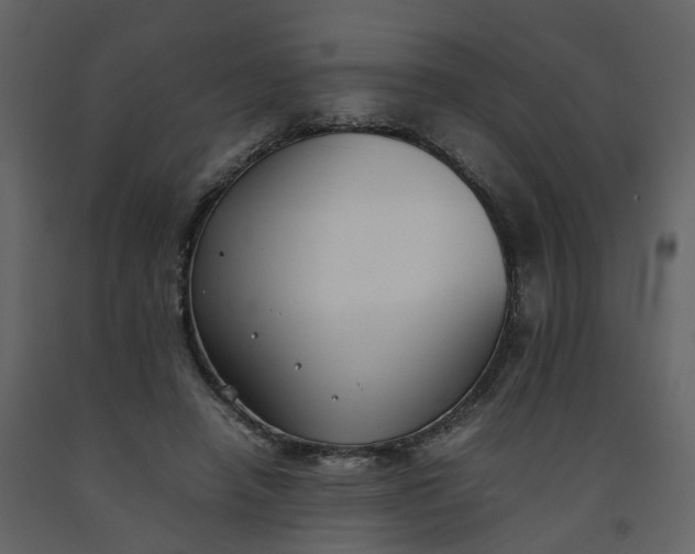 X0000092250450200710051302