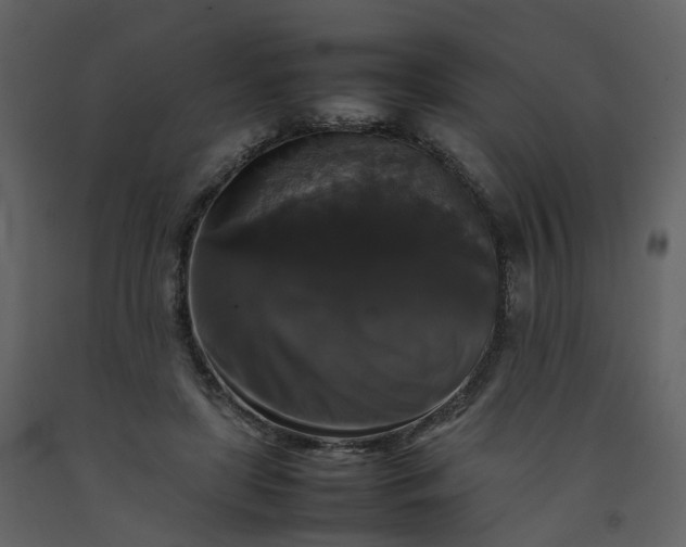 X0000092250451200710051302
