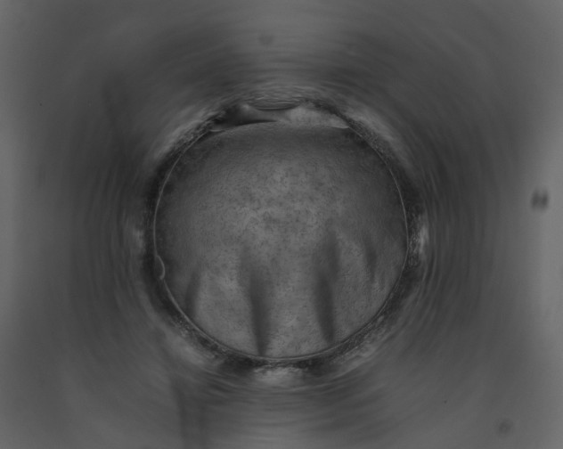 X0000092250452200710051302