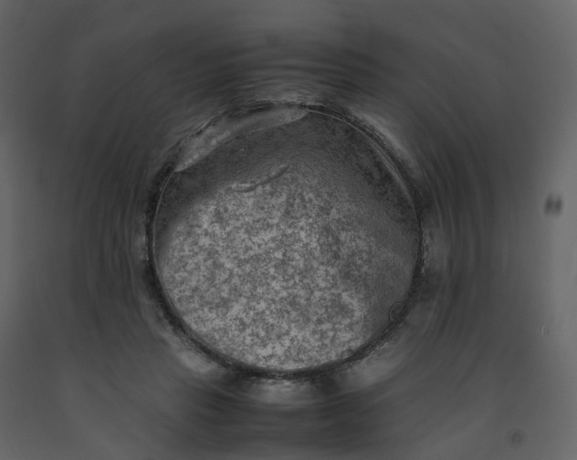X0000092250453200710051302