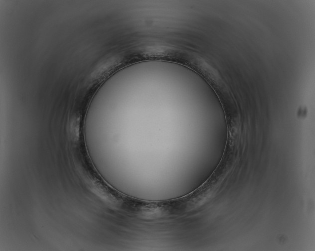 X0000092250454200710051302