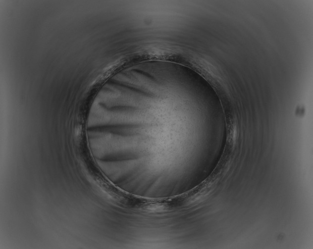 X0000092250456200710051302