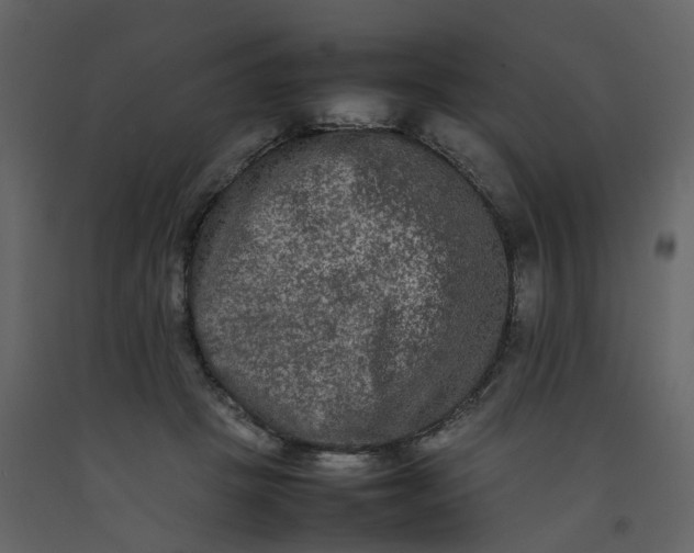X0000092250457200710051302