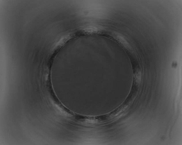 X0000092250458200710051302