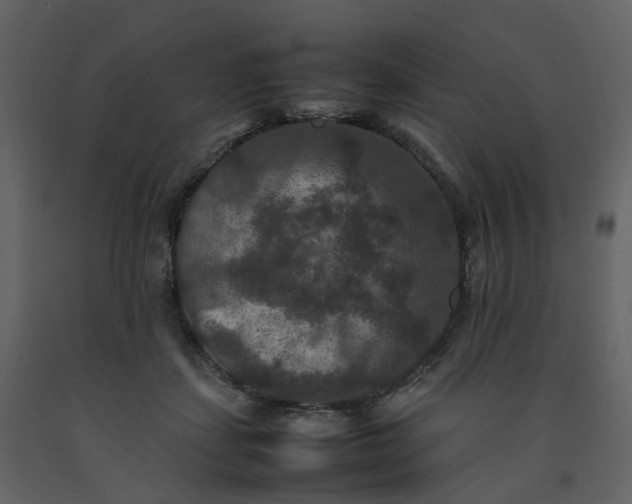 X0000092250459200710051302