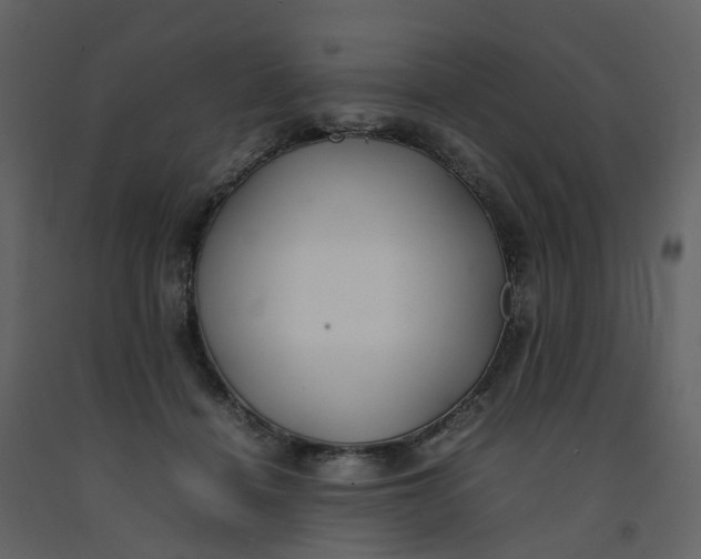 X0000092250460200710051302