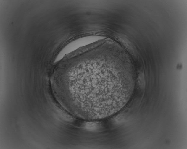 X0000092250461200710051302