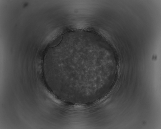 X0000092250462200710051302