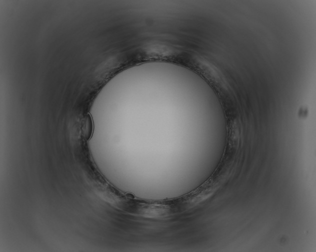 X0000092250463200710051302