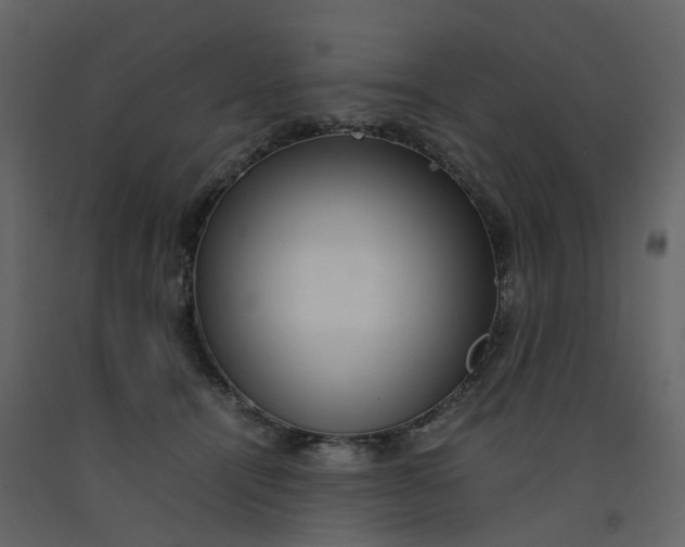 X0000092250464200710051302