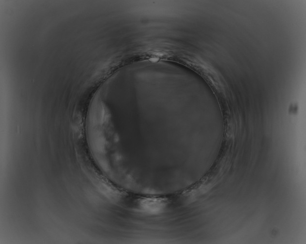 X0000092250465200710051302