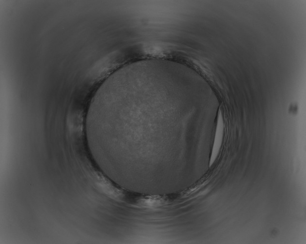 X0000092250466200710051302