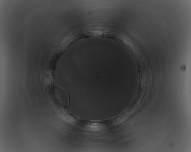 X0000092250467200710051302