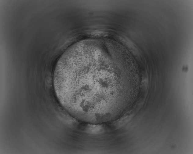 X0000092250469200710051302
